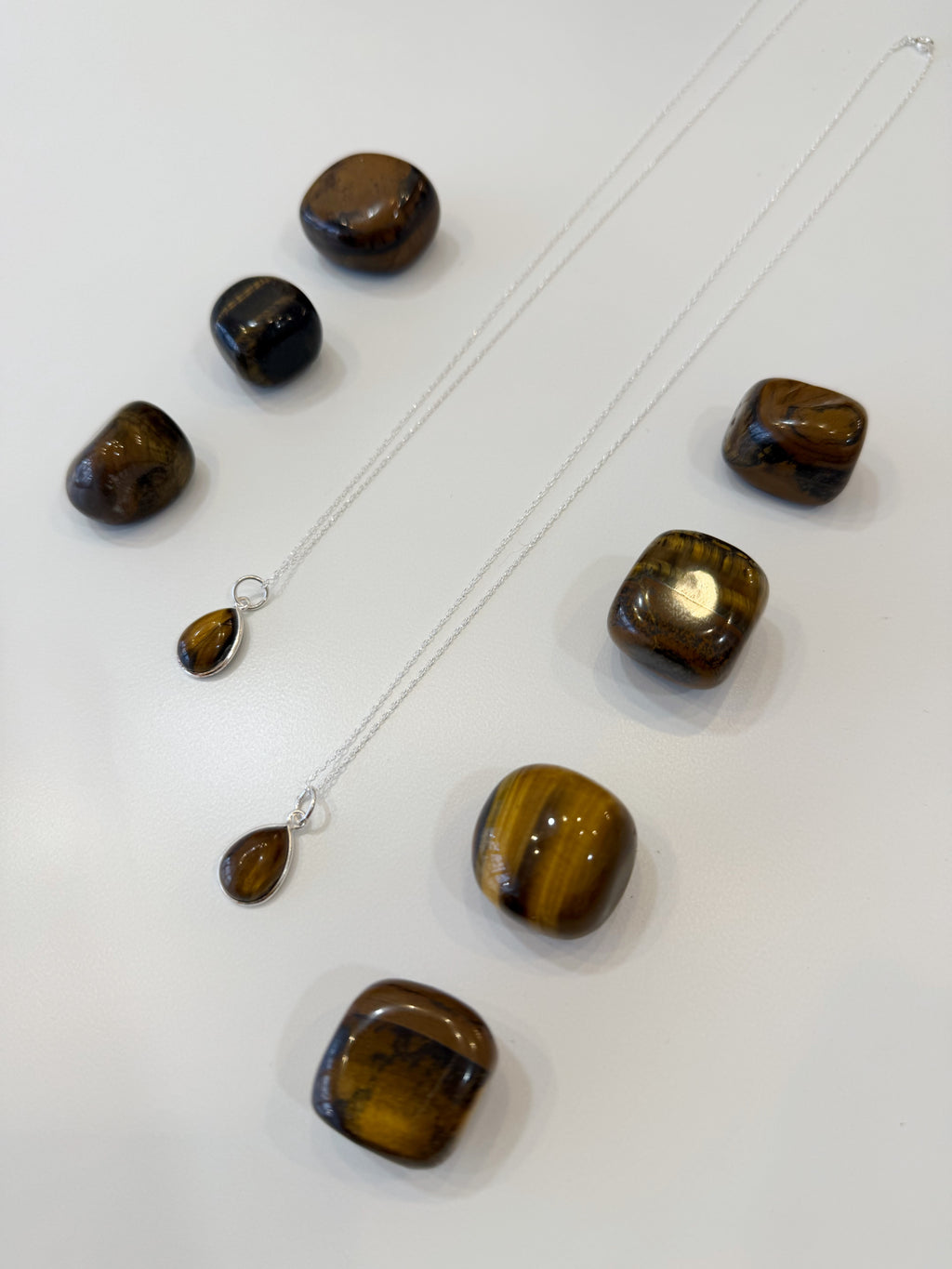 Collar Shield