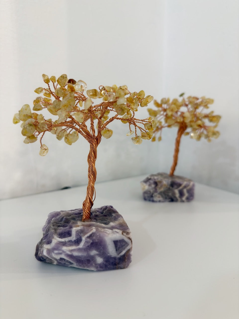 Árbol Citrino