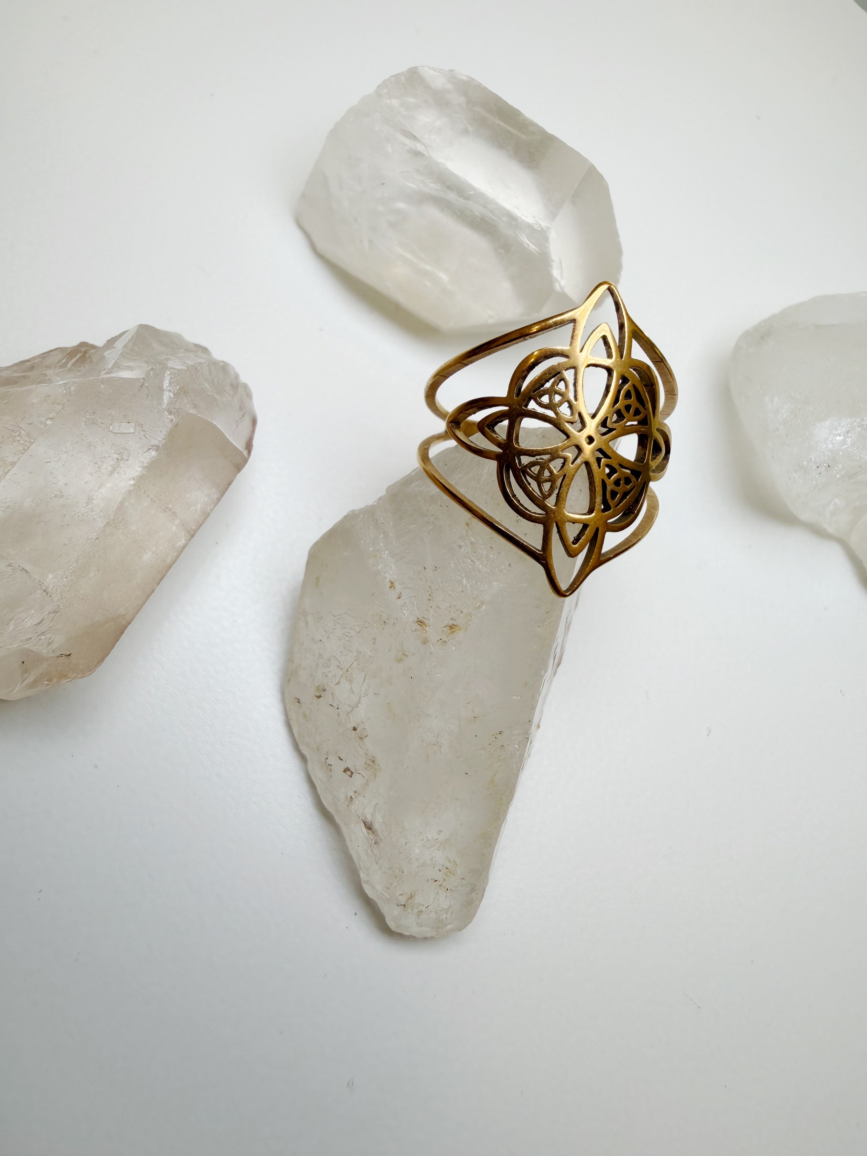 Anillo Witch