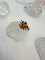 Anillo Earth