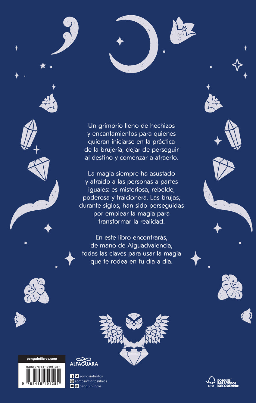 Manual de la bruja novata