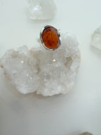 Anillo Earth