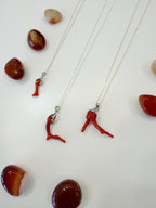 Collar Ocean
