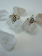 Anillo Nudo de Brujas