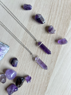 Collar Violet