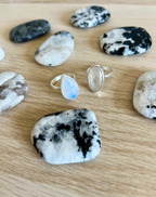 Anillo Muse