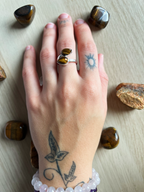 Anillo Guardian