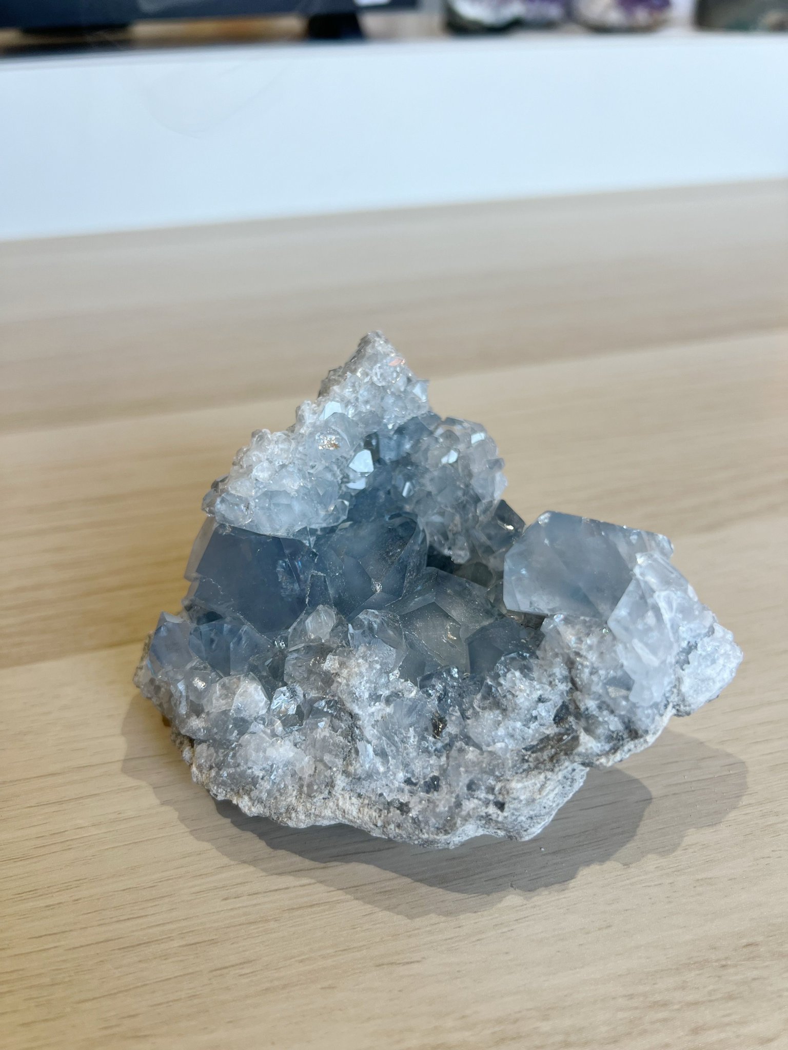 Drusa Celestina